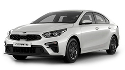 Cerato